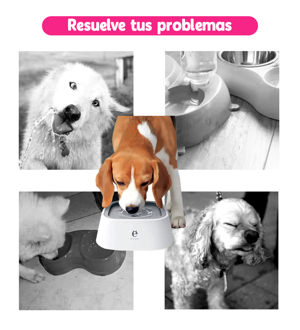 Bebedero Antiderrame de Agua para Mascotas
