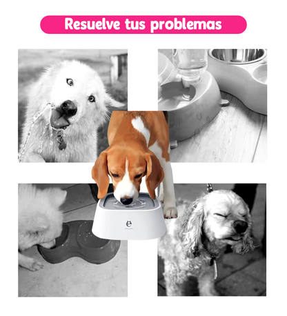 Bebedero Antiderrame de Agua para Mascotas